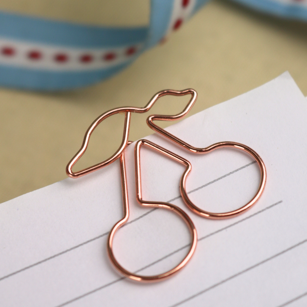 Whimsical Paperclip Set of 12 in Box