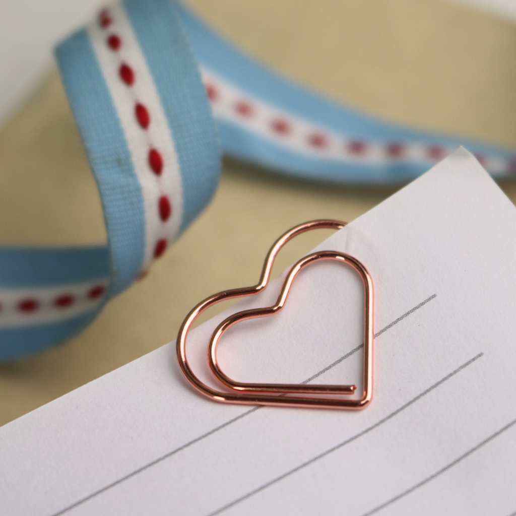 Whimsical Paperclip Set of 12 in Box